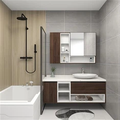 باتھ کیبنٹ ایلومینیم